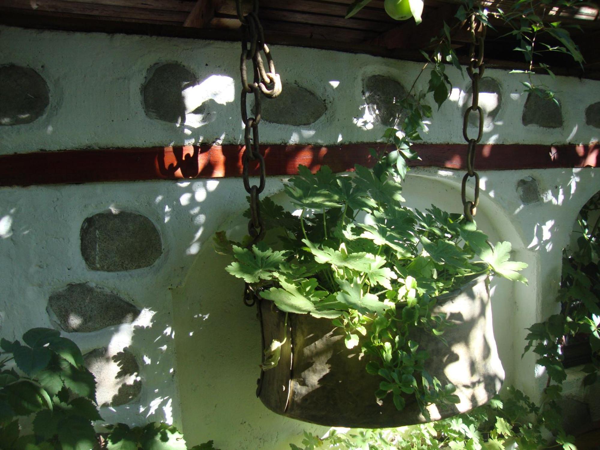 Guest House Planinski Zdravets Bansko Exterior foto